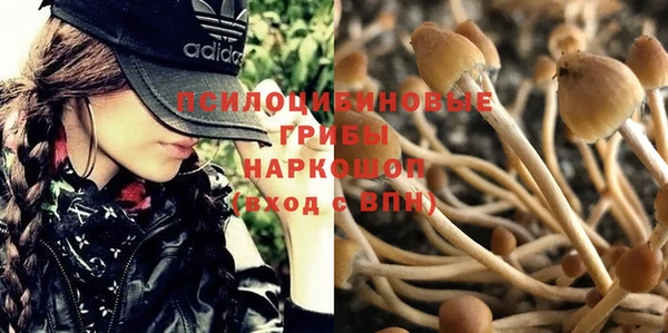 экстази Белокуриха